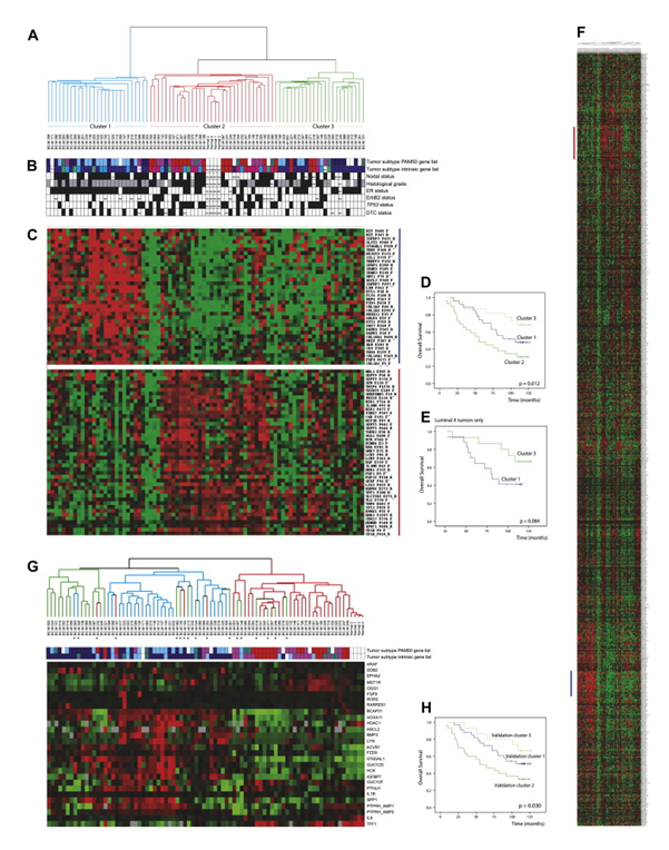 Figure 2. Normal to cancer.